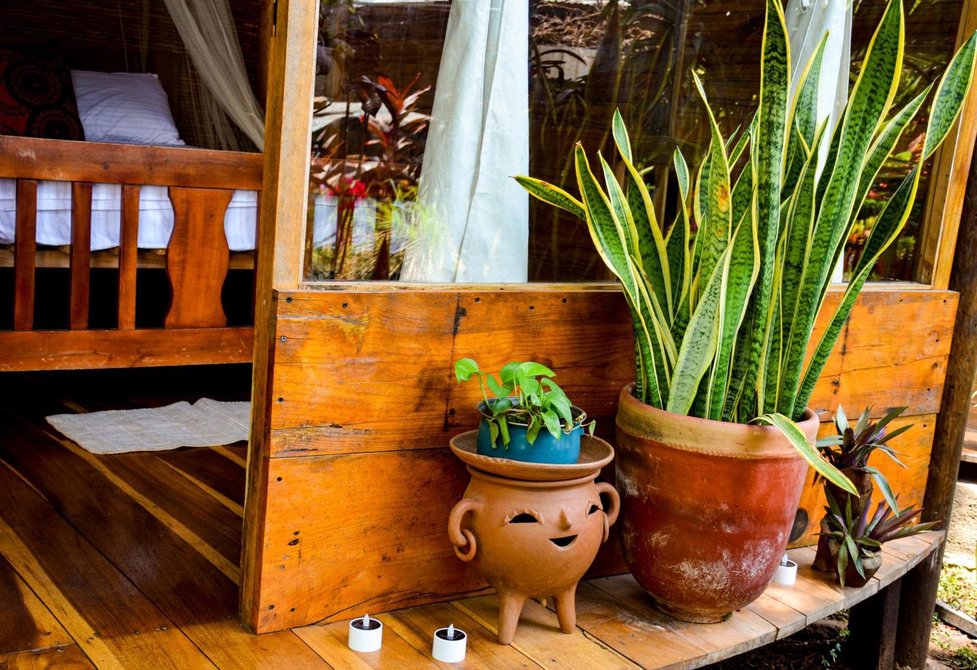 Casa Caracola Hotel Granada Bagian luar foto