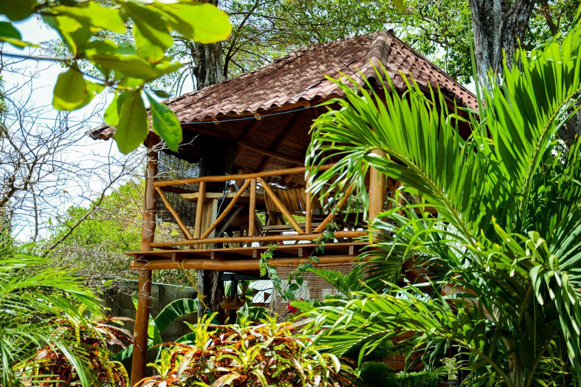 Casa Caracola Hotel Granada Bagian luar foto